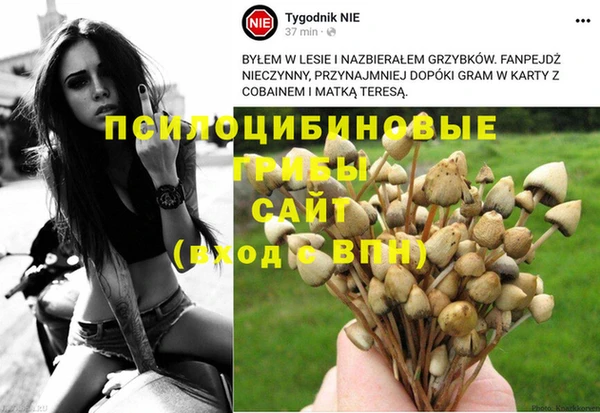 гидропоника Алзамай