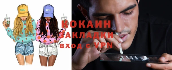стафф Алексин