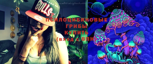 стафф Алексин