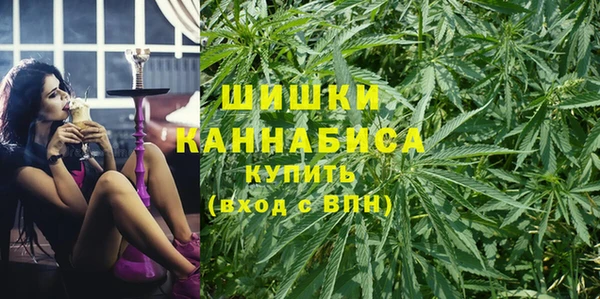 гидропоника Алзамай