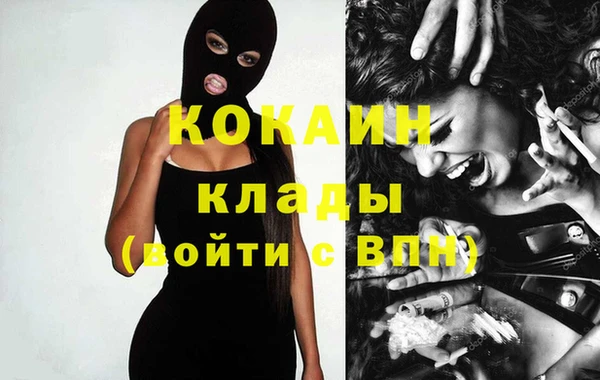 стафф Алексин